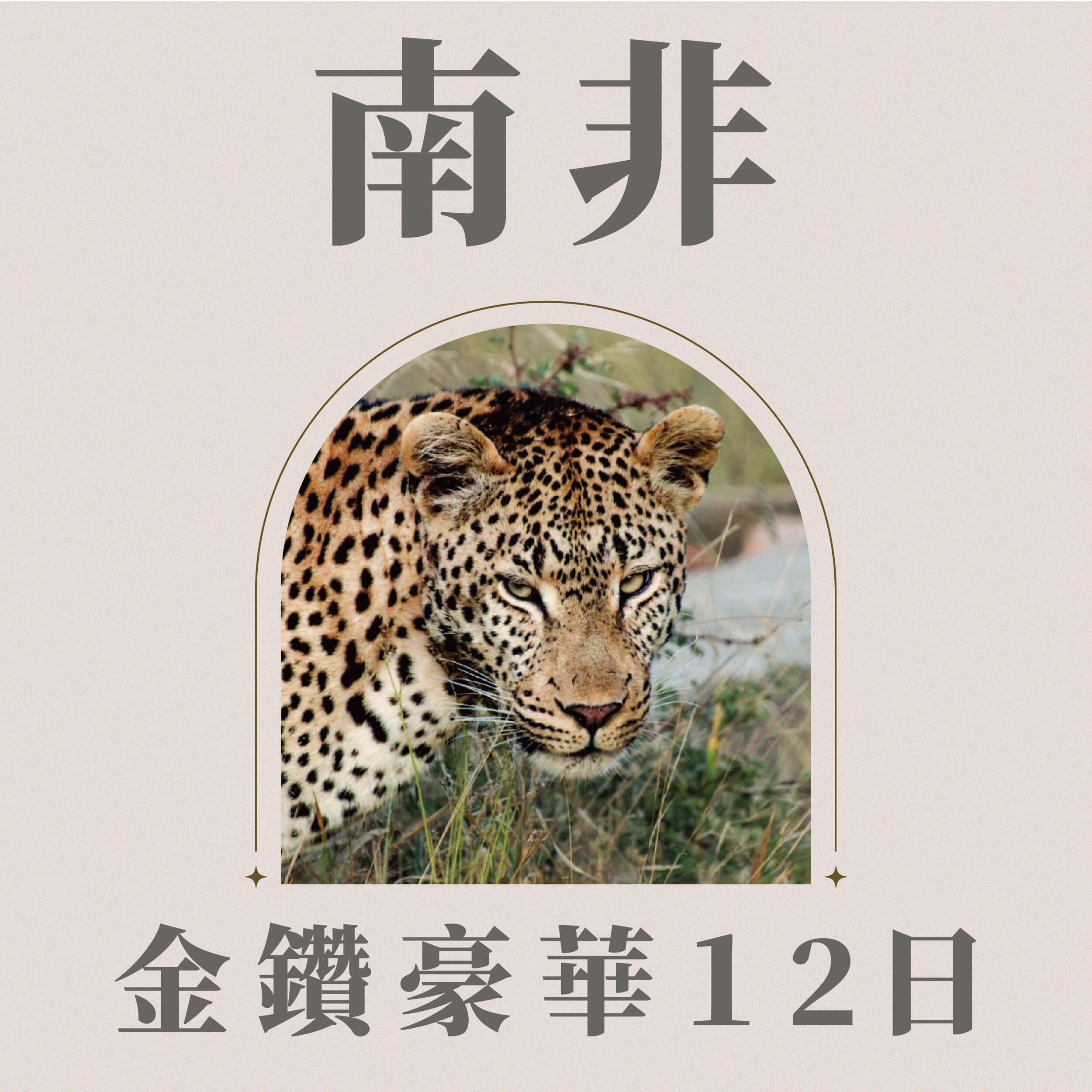 南非金鑽豪華12日